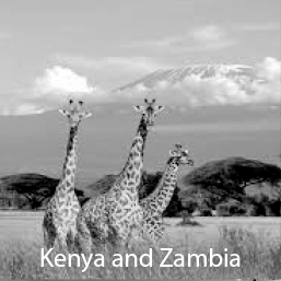 Kenya & Zambia